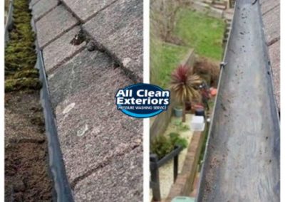 before and after of gutter cleaning mold and mildew in Tinton Falls, NJ