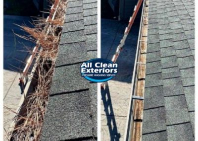 before and after of power washing and gutter cleaning overgrown leaves in Monmouth Beach, NJ