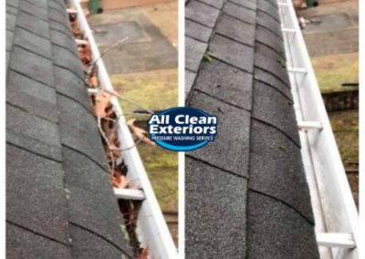 before and after gutter cleaning leaves and sticks in Oceanport, NJ
