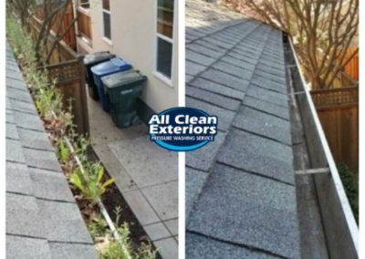 before and after gutter cleaning weeds and leaves in Rumson, NJ