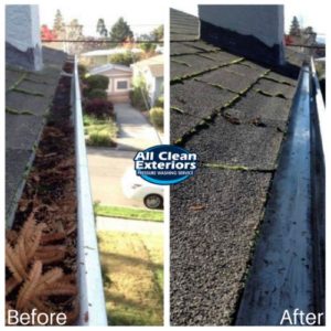 before and after gutter cleaning leaves and dirt in Fair Haven, NJ