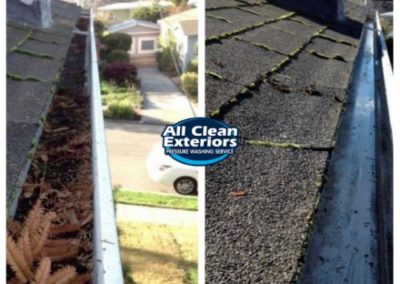 before and after gutter cleaning leaves and dirt in Fair Haven, NJ