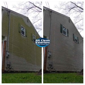 before and after of green moss on house power washing using soft wash