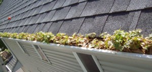 clogged gutter in need of gutter cleaning