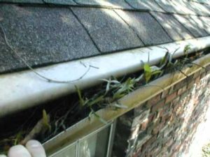 clogged gutter guards in need of gutter cleaning