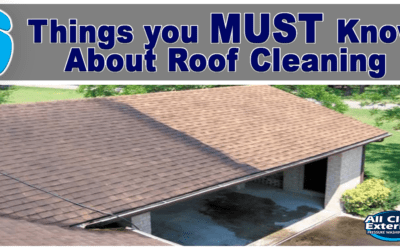 6 Things You Must Know About Roof Cleaning