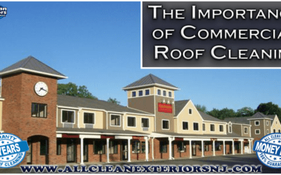 Importance of Commercial Roof Cleaning