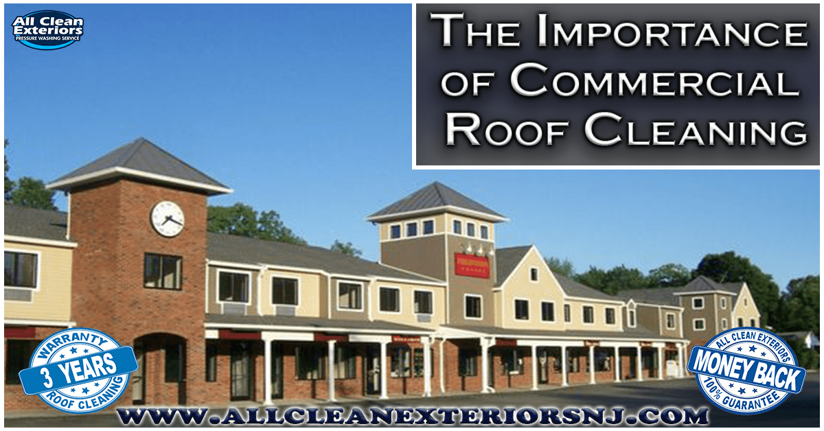 The Importance of Commercial Roof Cleaning