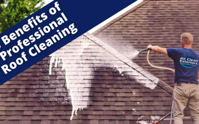 5 Benefits of Professional Roof Cleaning