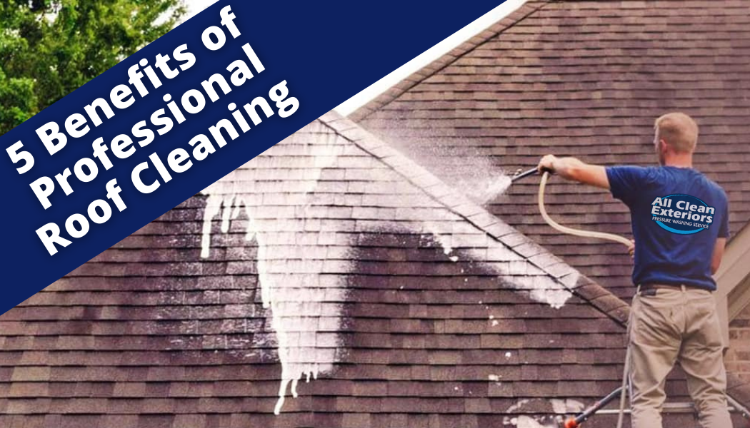 Gutter Cleaning Near Me