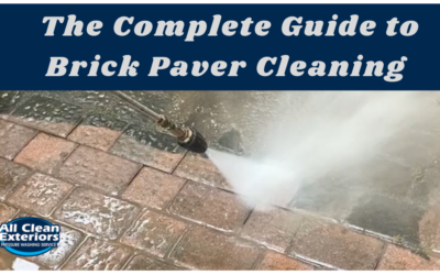 Brick Paver Cleaning 101