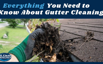 Do I Really Need a Clean Gutter