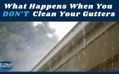 What Happens When You Don’t Clean Your Gutters?