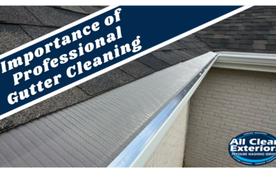 Protect Your Home With Professional Gutter Cleaning