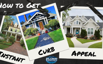 How to Get Instant Curb Appeal