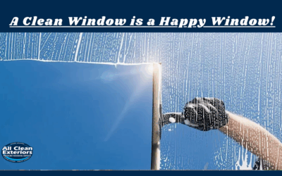 What Happens When All The Windows In Your House Are Cleaned?
