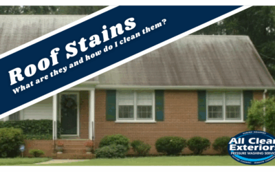 My Roof Is Spotted And Stained