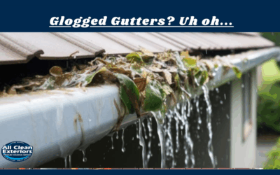 What Happens When Your Gutters Are Clogged?